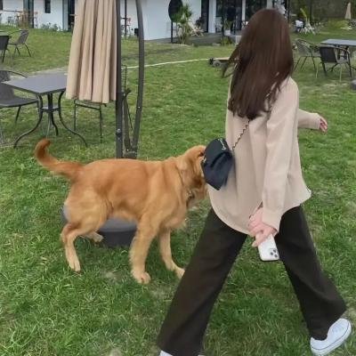翻叮一族粤语